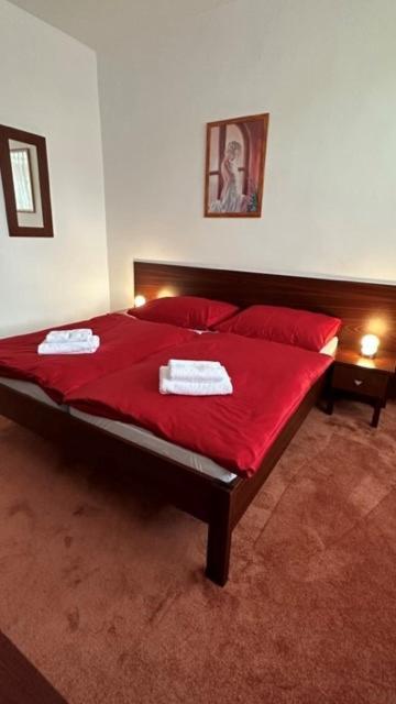 Hotel Bothe Považská Bystrica Екстериор снимка