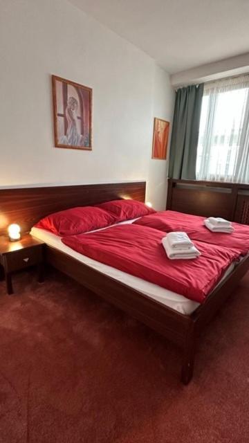 Hotel Bothe Považská Bystrica Екстериор снимка
