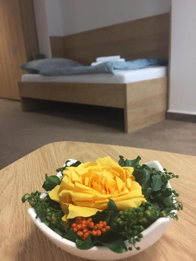 Hotel Bothe Považská Bystrica Екстериор снимка